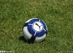 盘锦青少年,篮球赛家长,场内争执,开云体育,开云体育官网,开云体育app,开云体育平台,KAIYUN,SPORTS,kaiyun登录入口