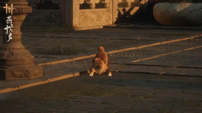 大乐透期号,专家推荐质,合分析前区,开云体育,开云体育官网,开云体育app,开云体育平台,KAIYUN,SPORTS,kaiyun登录入口