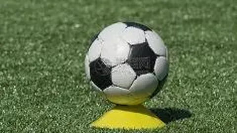 开云（体育）APP下载网址