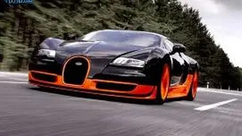 “38小时黄金通道：开启“北粮南运”新征程”