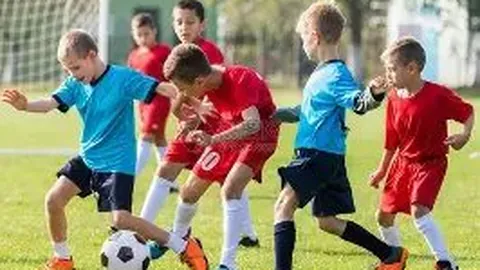 开云（体育）APP下载网址 资讯 112904 x4t