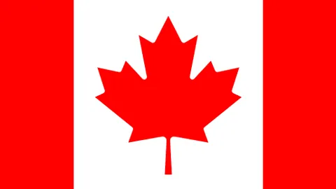 何卓佳业余热衷“养生”，坚信健康基础助事业腾飞