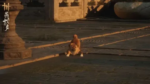 大乐透期号专家推荐质合分析前区十码续订成功